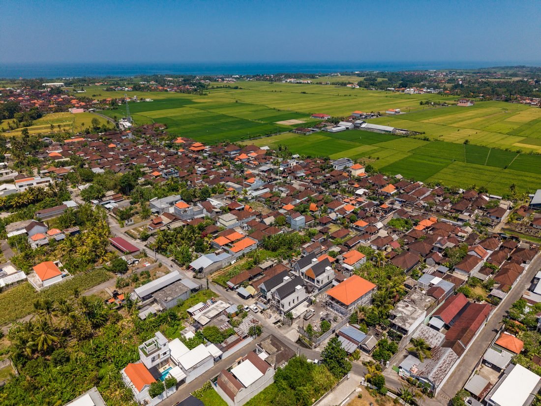 Aerial photograph of rice fields and the coast at Kedungu, Bali