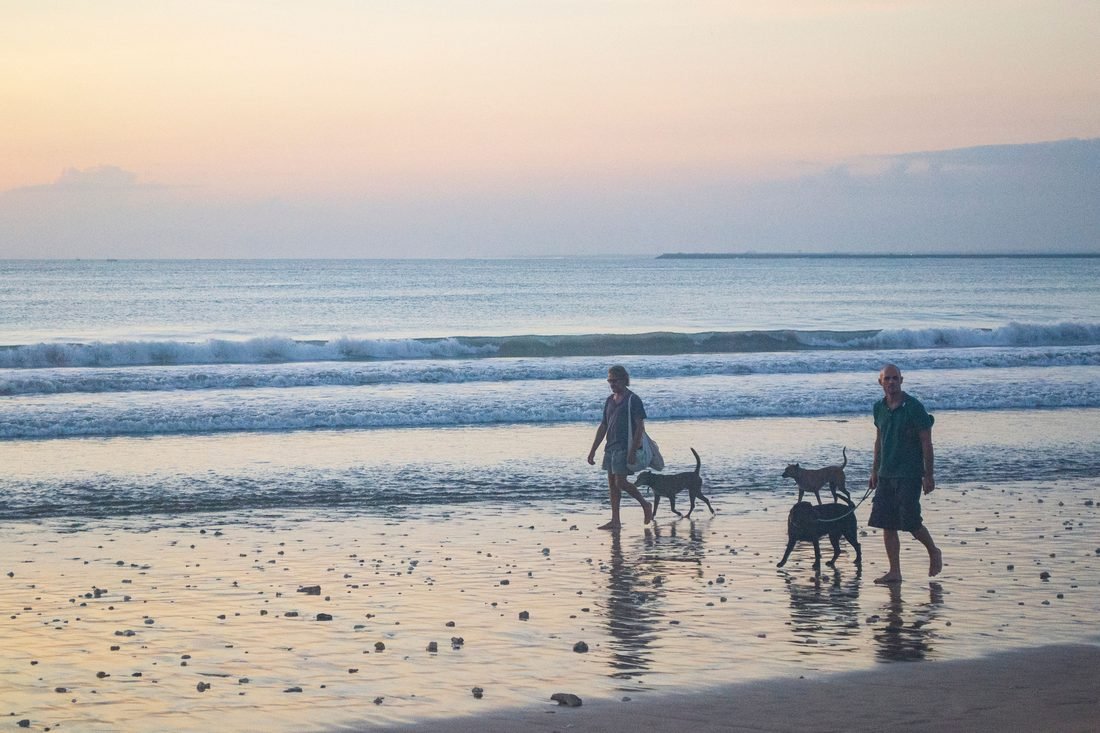 Two people walking dogs along a Bali beach at low tide at dusk